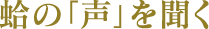 蛤の「声」を聞く